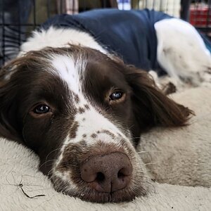 WhatsApp Image 2026-01-07 at 12.29.32.jpeg