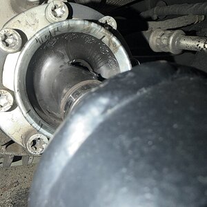 Media 'IMG_0943.jpeg' in category 'Thread Attachments'