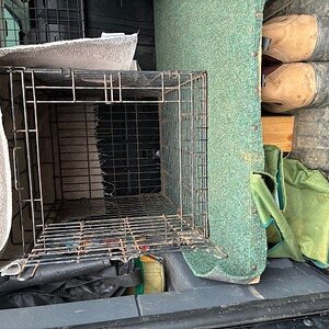 dog crate.jpg