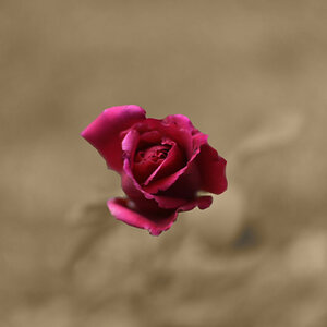 IMG_5130 copia 2.jpg