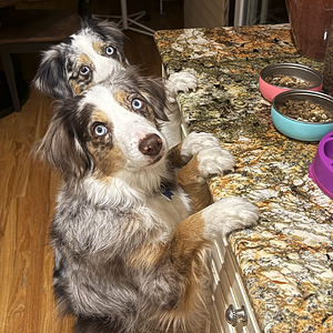 Screenshot 2026-02-14 at 10.51.28 PM.png