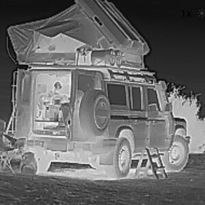 Thermal Grenny at night (2).jpg