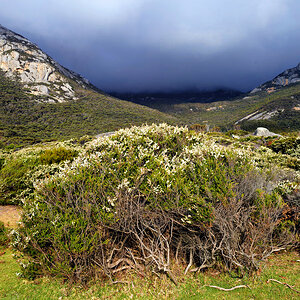 Flinders Island Day 7 RAW - 0011-DxO_DeepPRIME XD3_stitch.jpg