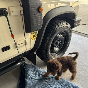 Media 'IMG_6650.jpeg' in category 'Thread Attachments'