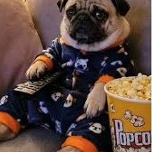 Screenshot 2026-04-20 095125.jpg