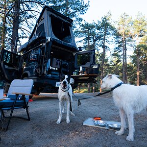 2026.4.17 Overlanding Preview_WEB-2935.jpeg