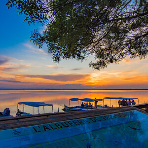 Albufera-1-29.jpg